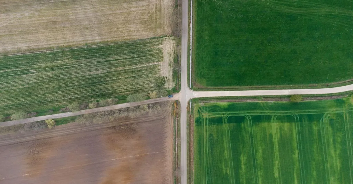 découvrez l'importance de la rotation des cultures pour améliorer la fertilité du sol, prévenir les maladies et augmenter les rendements agricoles.