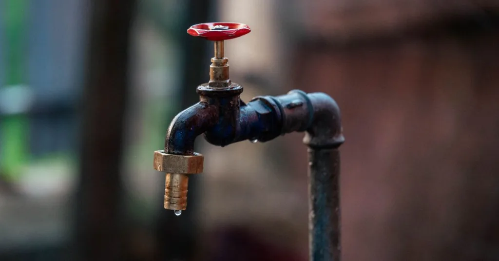 découvrez l'irrigation goutte-à-goutte, une méthode efficace pour économiser l'eau et optimiser l'arrosage des cultures en fournissant l'eau directement aux racines.