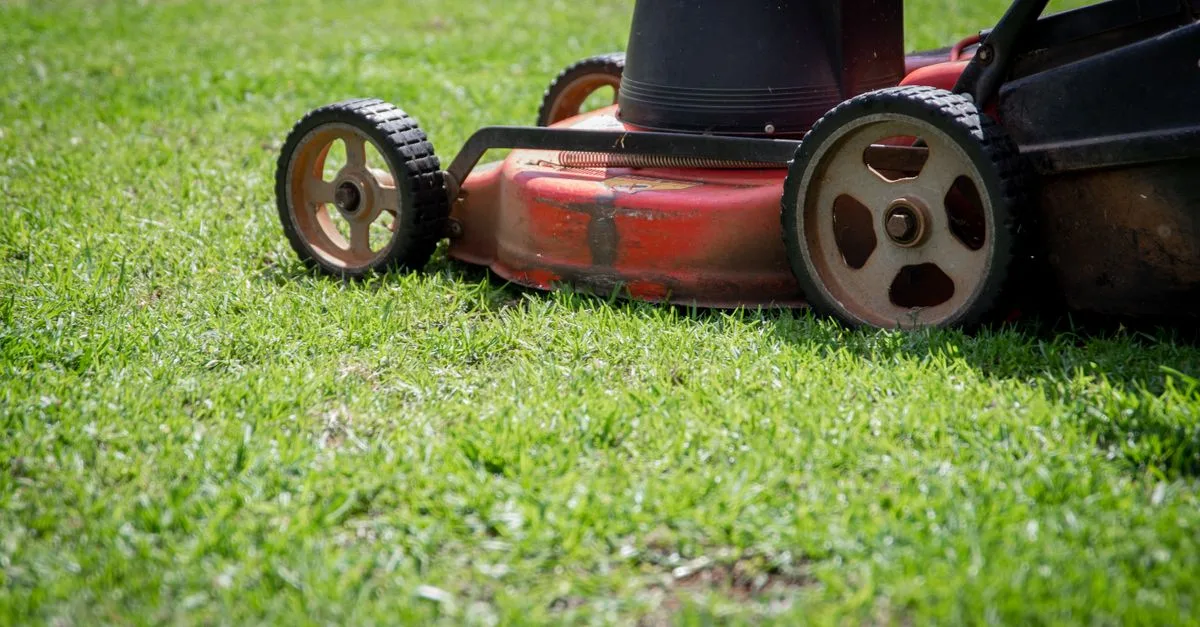 entretien de jardin : conseils et services pour garder votre espace extérieur propre, sain et agréable toute l'année.