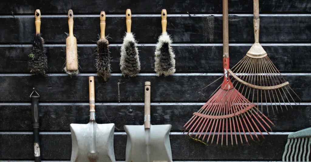 services professionnels d'entretien de jardin pour un espace extérieur propre, sain et esthétique toute l'année.