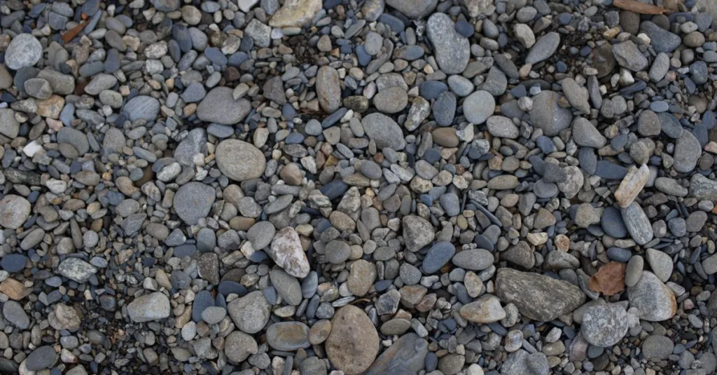 découvrez tout sur le gravel : une pratique cycliste alliant aventure, polyvalence et plaisir sur routes et chemins variés.