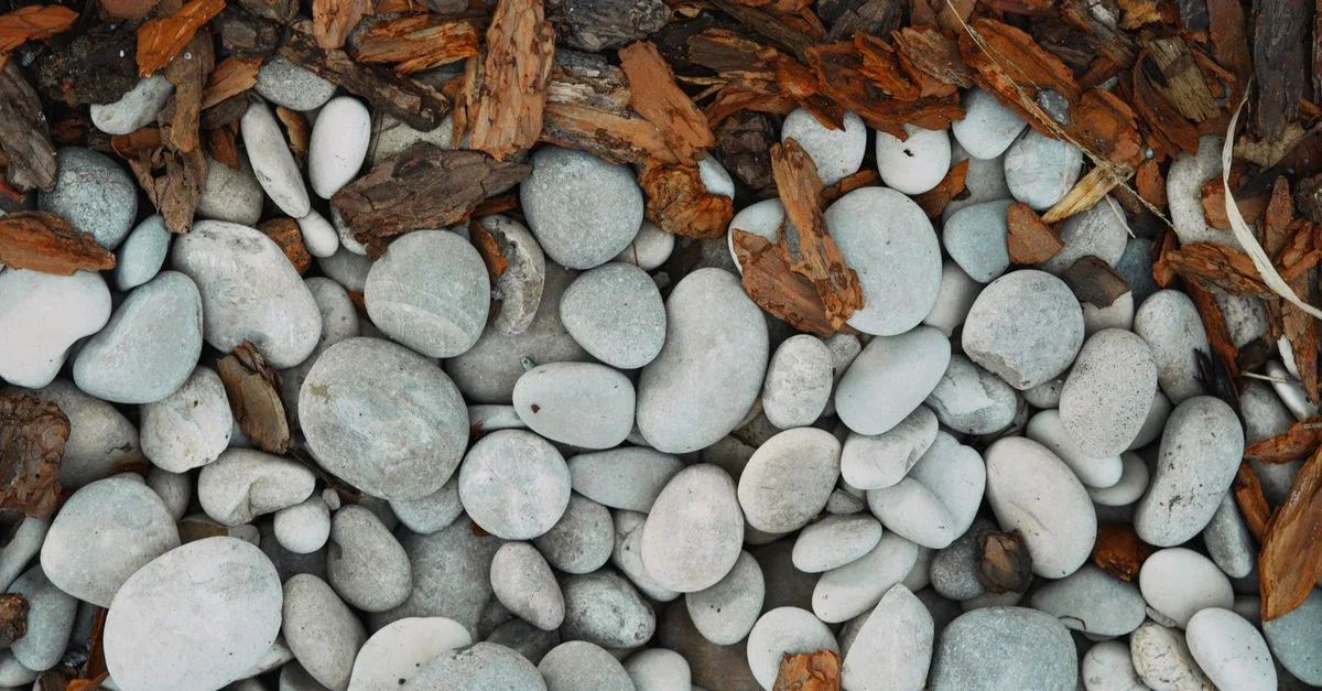 le mulching est une technique de jardinage qui consiste à recouvrir le sol de paillis pour protéger les plantes, conserver l'humidité et enrichir la terre naturellement.