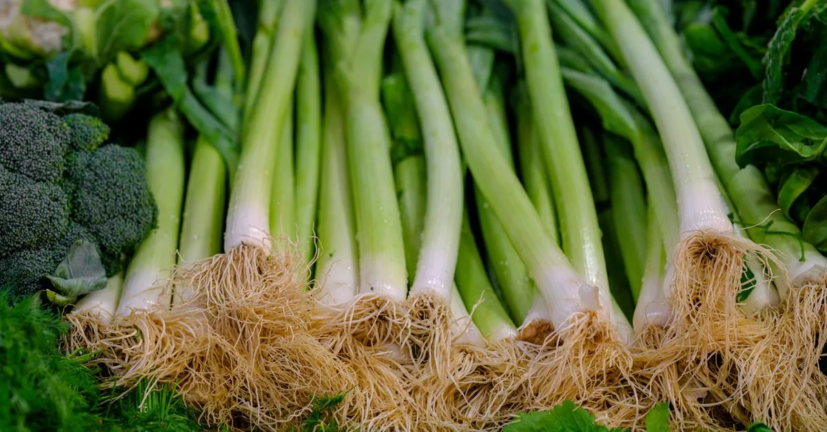 découvrez les meilleures associations de cultures pour les légumes-racines afin d'améliorer la croissance, protéger vos plantes et optimiser votre potager.