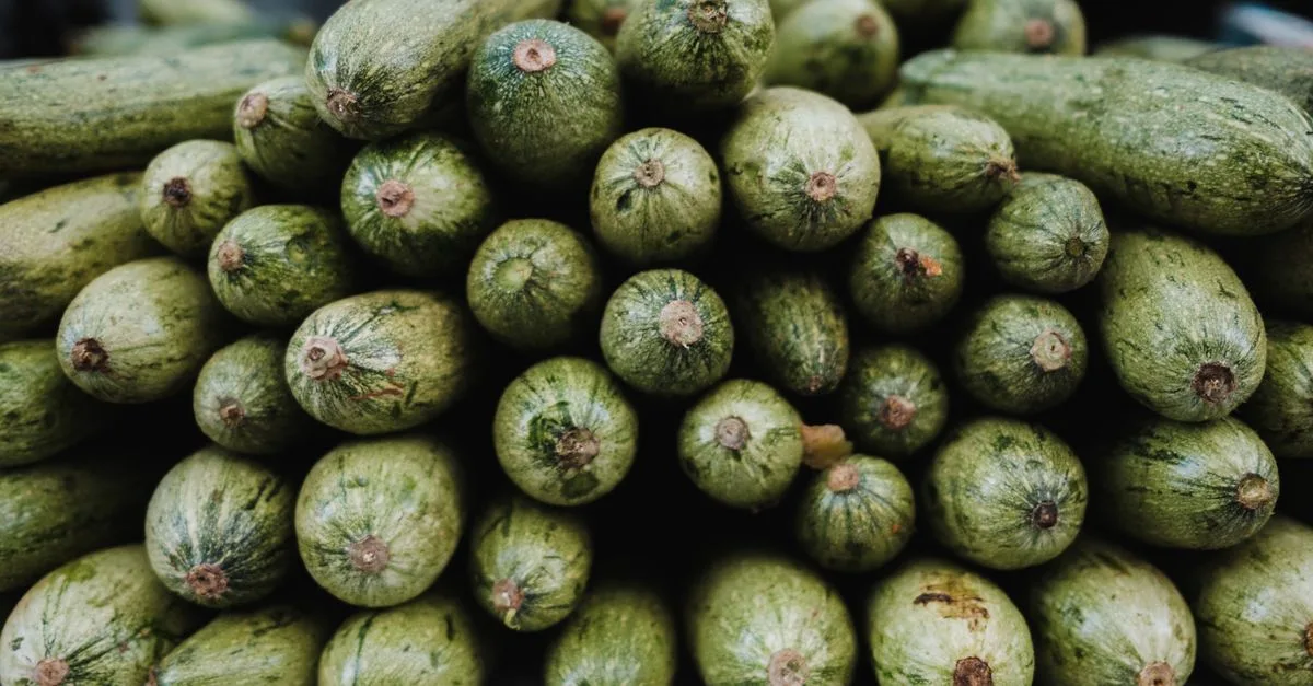 découvrez comment cultiver des légumes pour plusieurs récoltes afin d'optimiser votre jardin et profiter de produits frais tout au long de la saison.