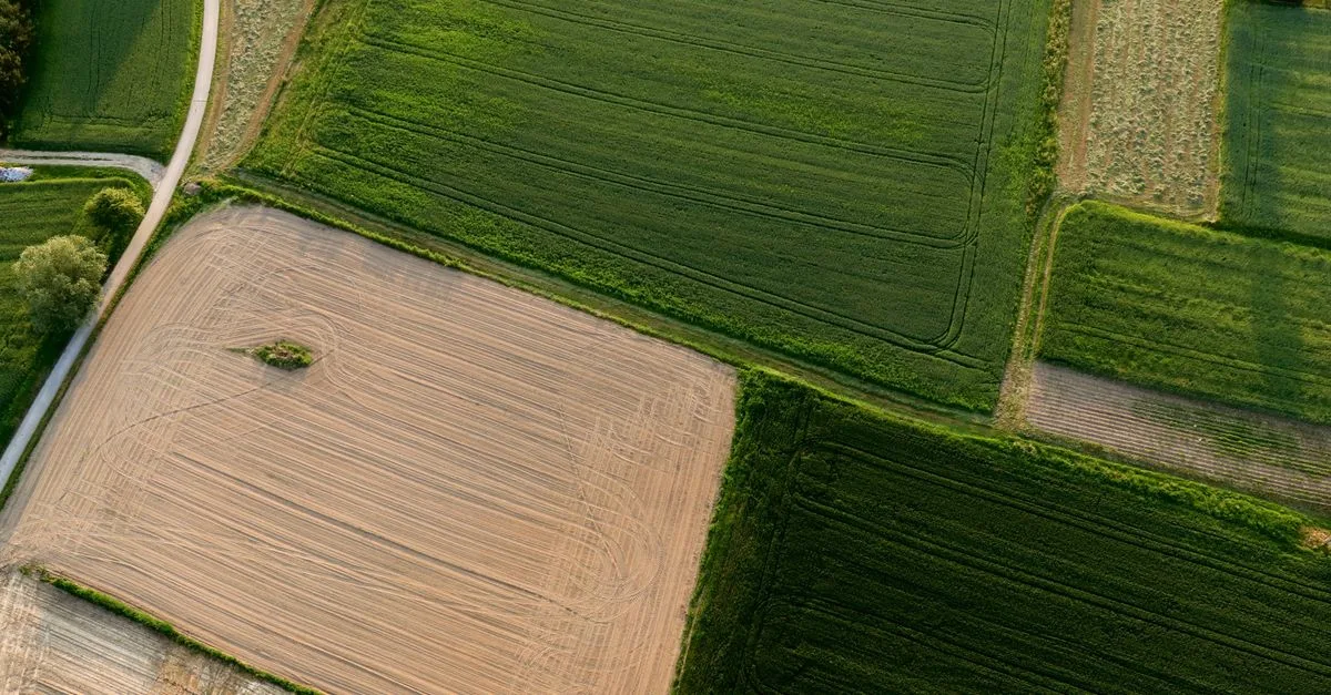 rejoignez notre forum d'agriculture pour échanger des idées, conseils et innovations avec des passionnés et professionnels du secteur agricole.