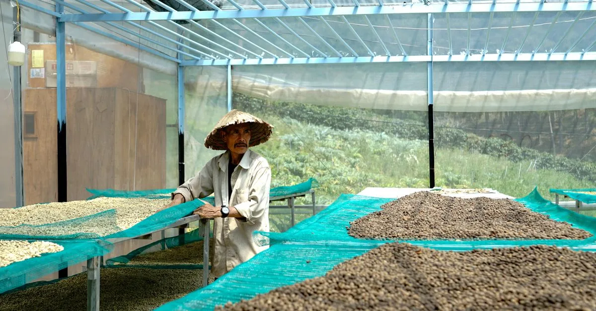 découvrez les meilleures techniques de culture des haricots pour un rendement optimal et une récolte réussie.