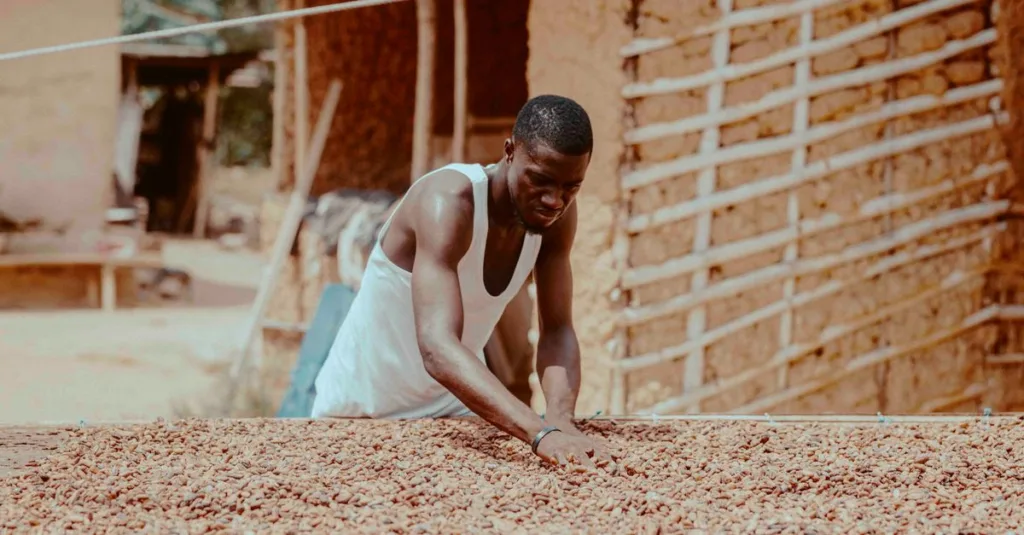 découvrez les techniques essentielles pour la culture des haricots, depuis la préparation du sol jusqu'à la récolte, pour obtenir une production saine et abondante.