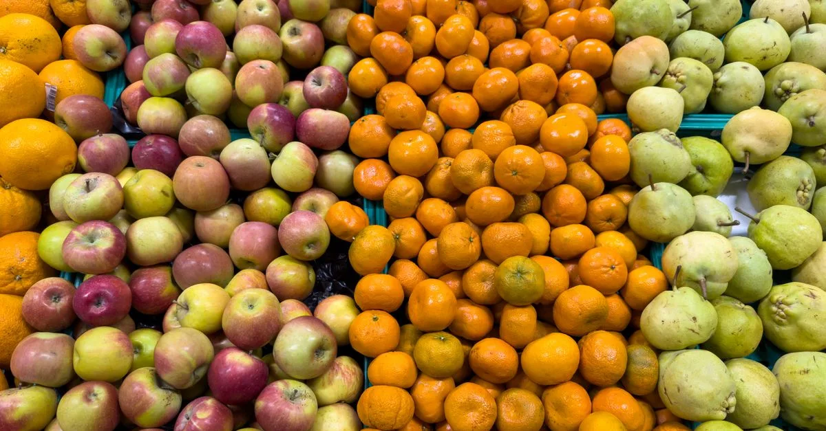 découvrez les meilleures variétés de poires pour savourer des fruits juteux et délicieux toute l'année.
