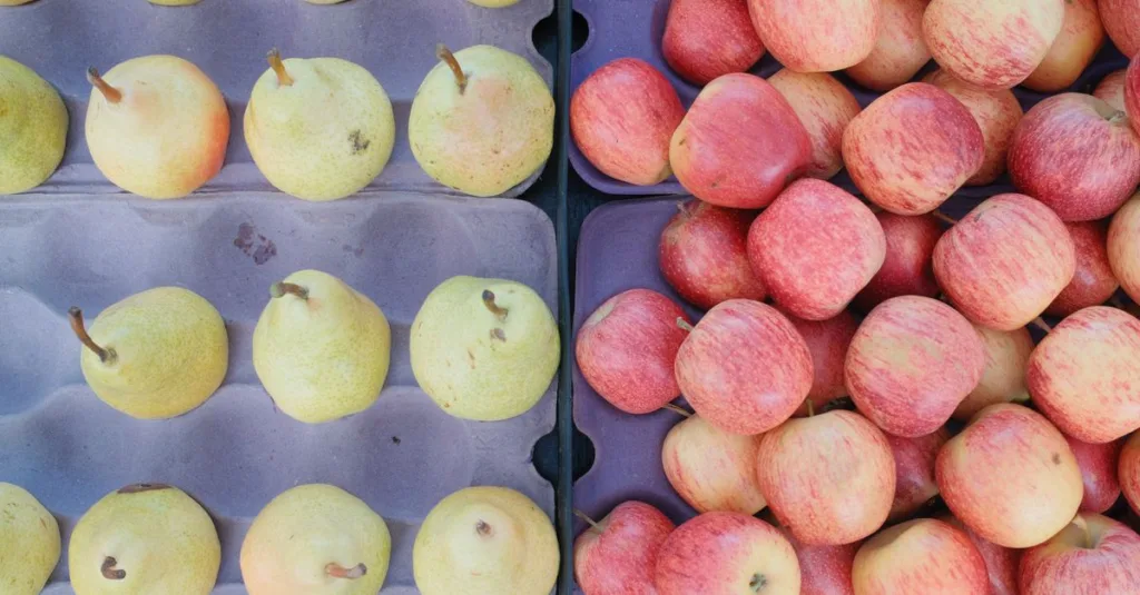découvrez les meilleures variétés de poires, leurs saveurs uniques et conseils pour bien les choisir et les cultiver.