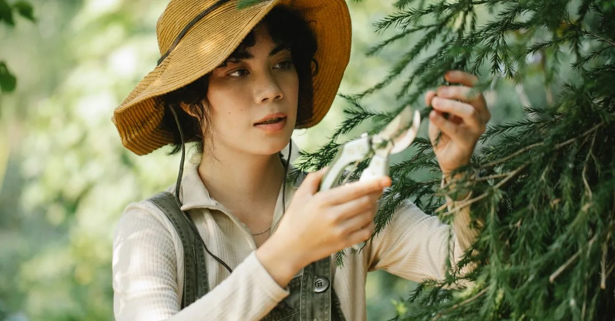 découvrez comment tailler le buddleia, ou arbre aux papillons, pour favoriser une floraison abondante et maintenir une plante en bonne santé toute l'année.