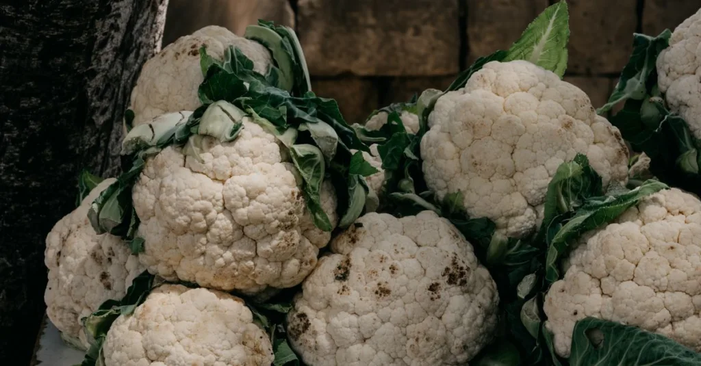guide complet pour la plantation du chou-fleur : conseils de préparation du sol, semis, entretien et récolte pour un potager réussi.