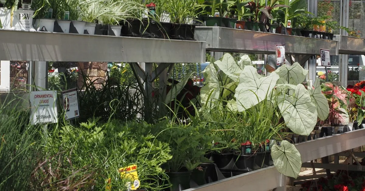 gamm vert, votre spécialiste en jardinage, agriculture et animaux de compagnie. découvrez nos conseils, produits et services pour un jardin florissant et des animaux en pleine santé.