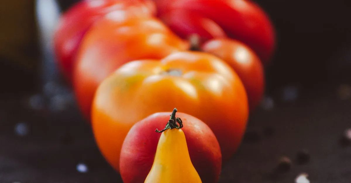 découvrez les légumes patrimoniaux, des variétés anciennes et savoureuses qui préservent la biodiversité et enrichissent vos recettes avec des saveurs authentiques.