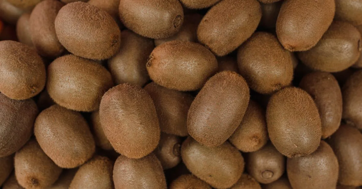 découvrez les meilleures méthodes de propagation du kiwi pour réussir la multiplication de vos plants et obtenir une récolte abondante.