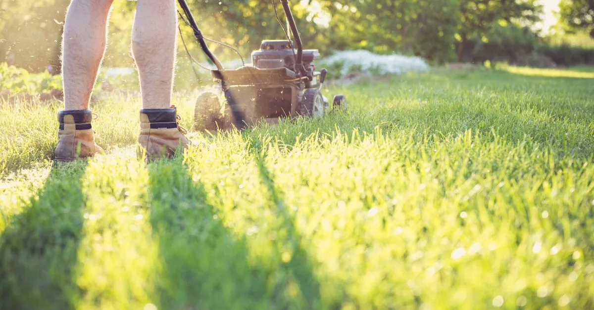 découvrez la tondeuse à gazon équipée de la technologie lidar pour une coupe précise et automatisée. profitez d'un jardin parfaitement entretenu grâce à ce robot intelligent et innovant.