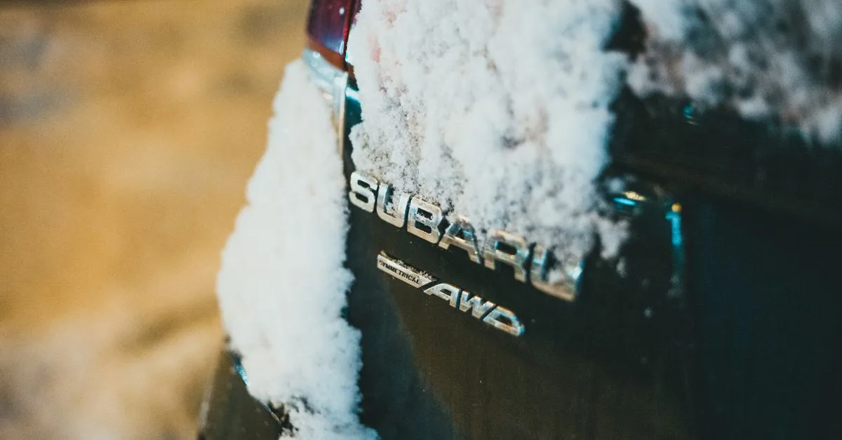 découvrez le mammoth luba 2 awd, un vtt tout-terrain performant avec transmission intégrale, conçu pour affronter tous les terrains en toute confiance.