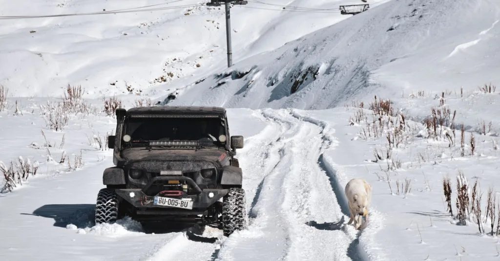 découvrez le mammoth luba 2 awd, le vélo électrique tout-terrain performant et polyvalent, idéal pour vos aventures outdoor avec une traction intégrale optimale.