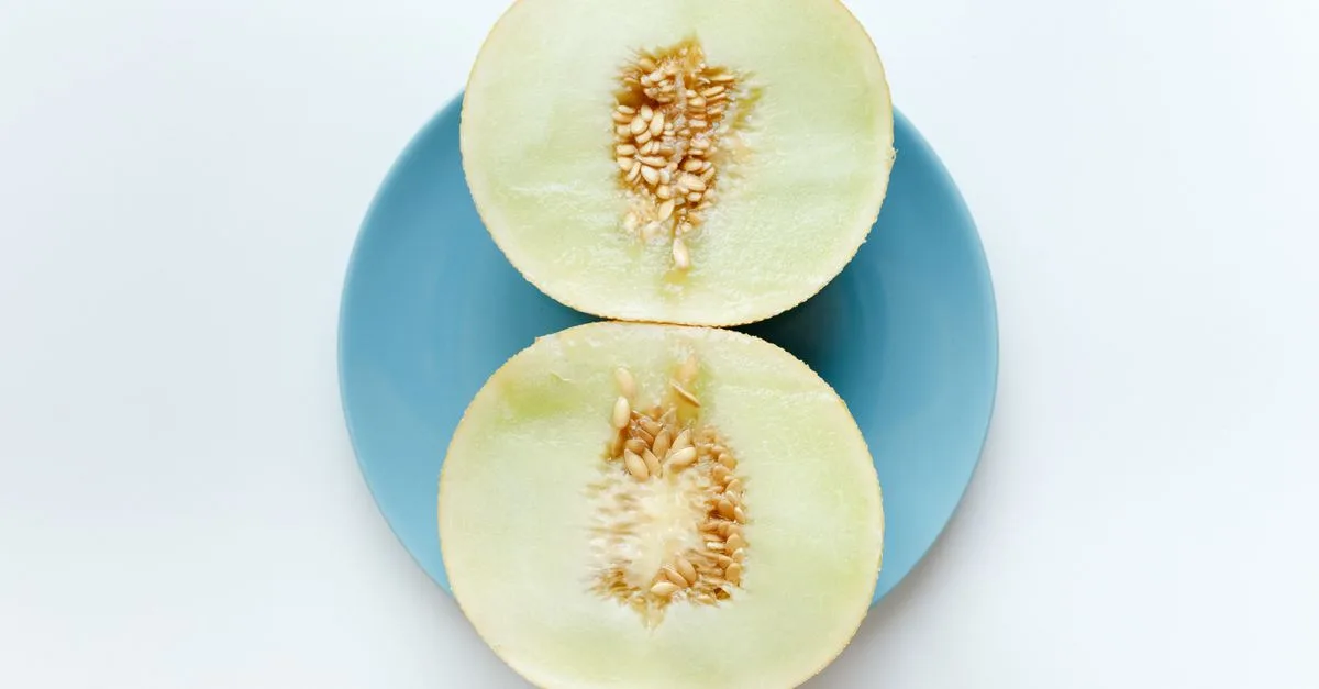 découvrez comment maximiser le rendement de votre plant de melon avec nos conseils pratiques pour une culture efficace et productive.