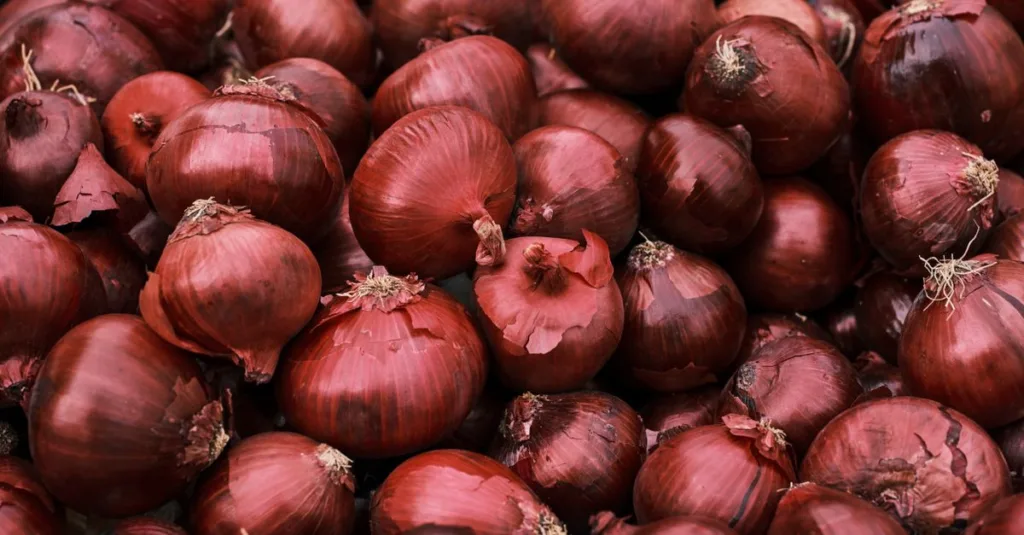 découvrez les meilleures techniques pour planter des oignons avec succès, du choix des graines à la récolte pour un potager productif.