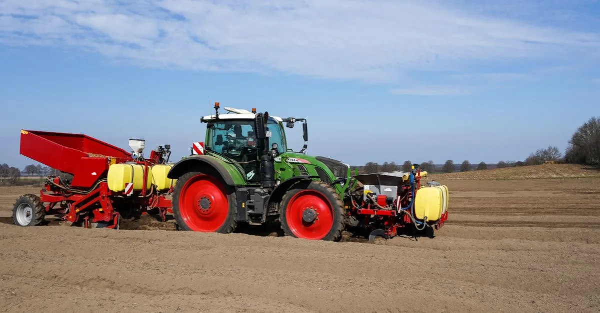 guide complet pour la plantation de pommes de terre en 2026 : conseils, calendrier et meilleures pratiques pour une récolte réussie.