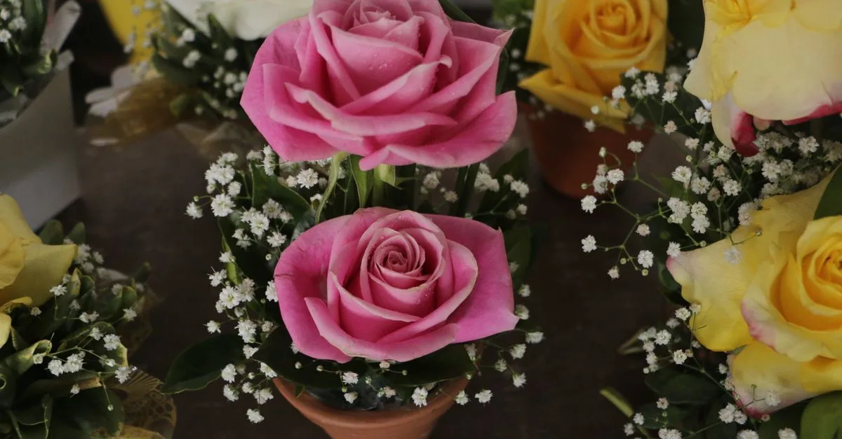 conseils essentiels pour prendre soin de votre rosier en pot : arrosage, exposition, taille et entretien pour une floraison optimale.