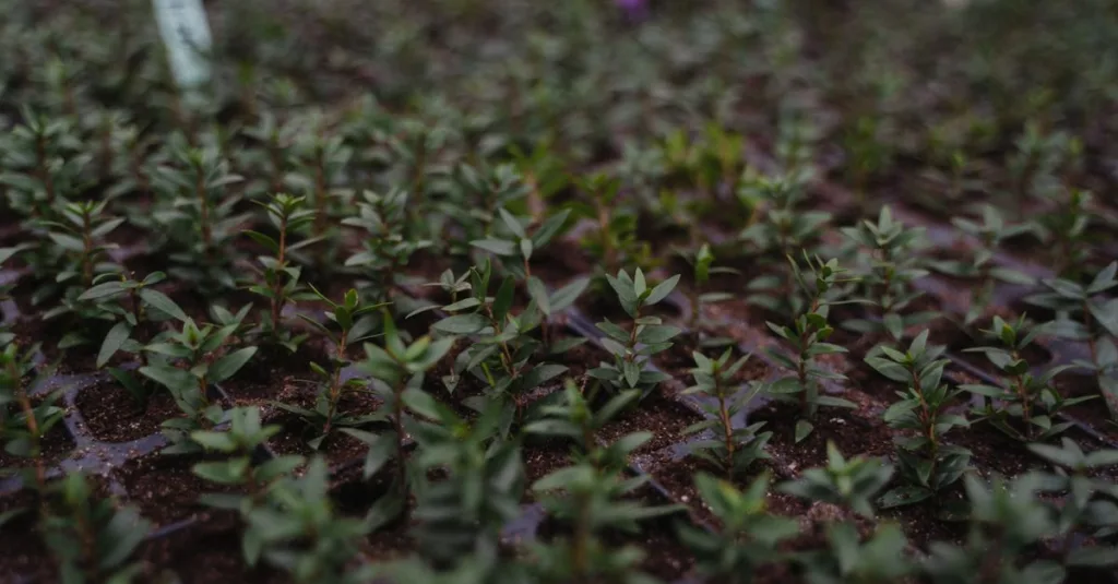 découvrez tout sur la propagation, ses mécanismes et ses applications dans divers domaines, pour mieux comprendre comment elle influence notre environnement.
