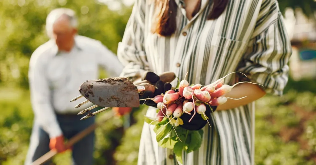 guide complet pour la plantation des radis : conseils, saison idéale, préparation du sol et entretien pour une récolte réussie.
