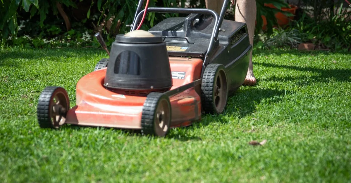 découvrez notre tondeuse à gazon robotisée, l'outil idéal pour entretenir votre pelouse automatiquement et sans effort. technologie avancée pour une coupe précise et un jardin toujours impeccable.