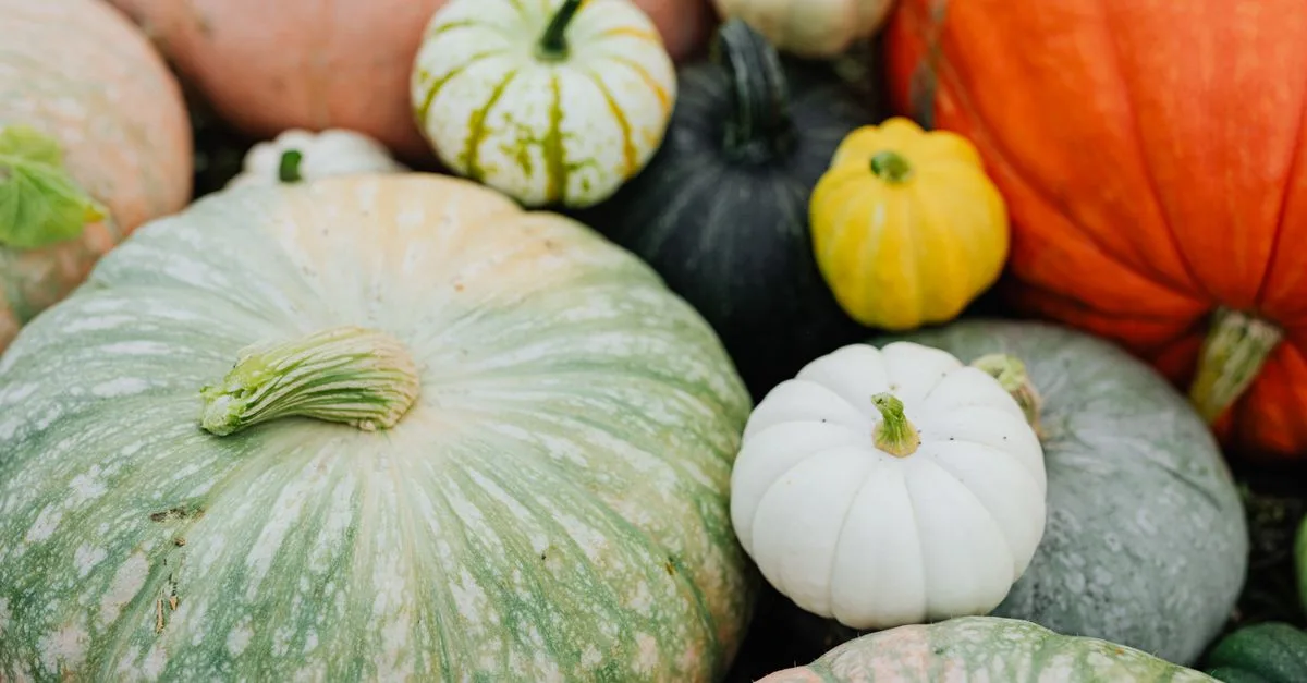 découvrez les différentes variétés de courges, leurs caractéristiques, usages culinaires et bienfaits pour votre santé.
