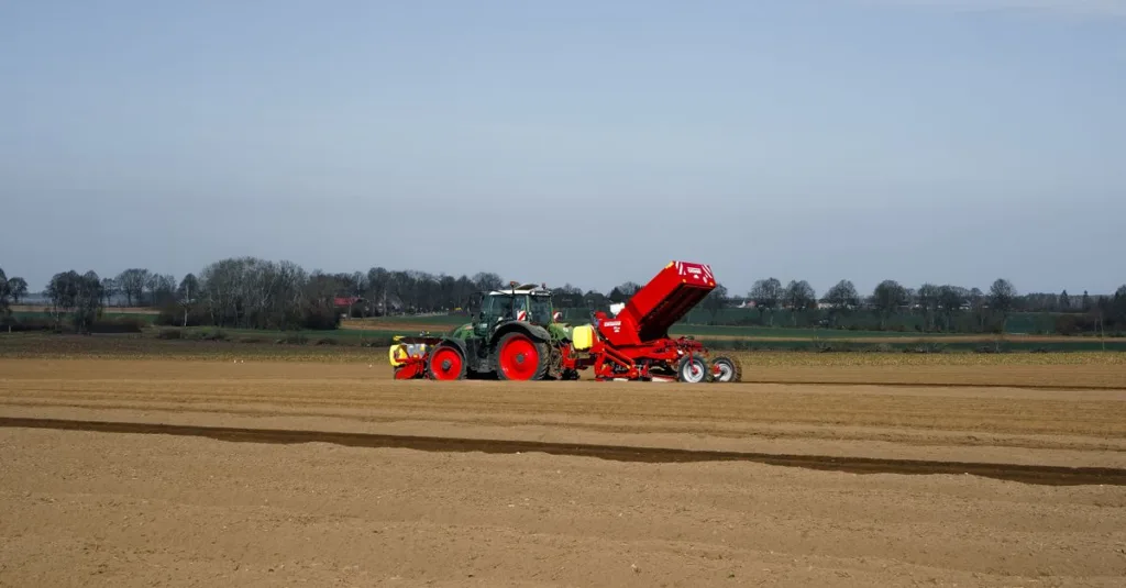 découvrez les techniques de culture de la patate douce en france, adaptées au climat français pour une récolte réussie et savoureuse.