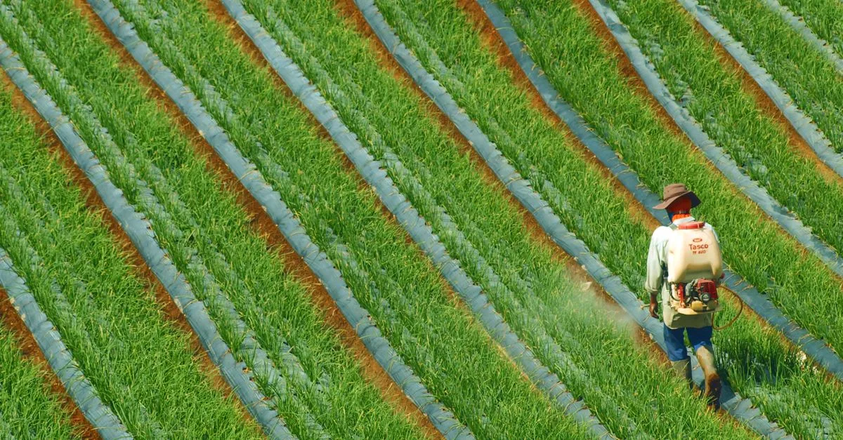 découvrez les avantages de l'engrais à base d'urine, une solution naturelle et écologique pour fertiliser vos plantes et améliorer la croissance de votre jardin.