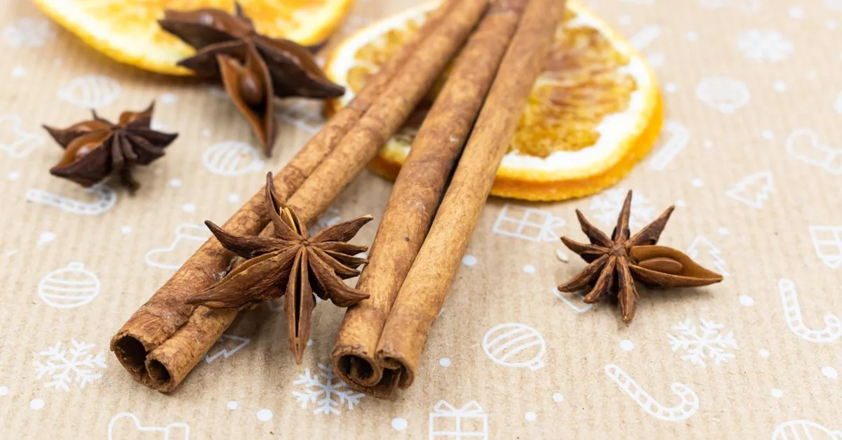 découvrez les plantes aromatisées à l'anis, utilisées pour leurs saveurs fraîches et douces en cuisine et en phytothérapie.