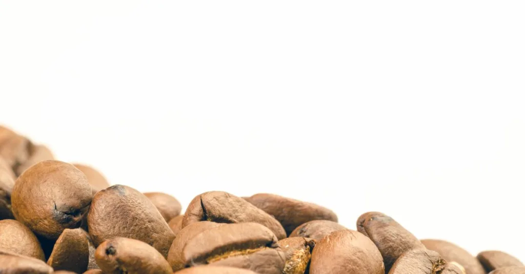 découvrez les bienfaits des marc de café : astuces écologiques, jardinage, beauté et bien-être pour tirer le meilleur parti de ce déchet naturel.
