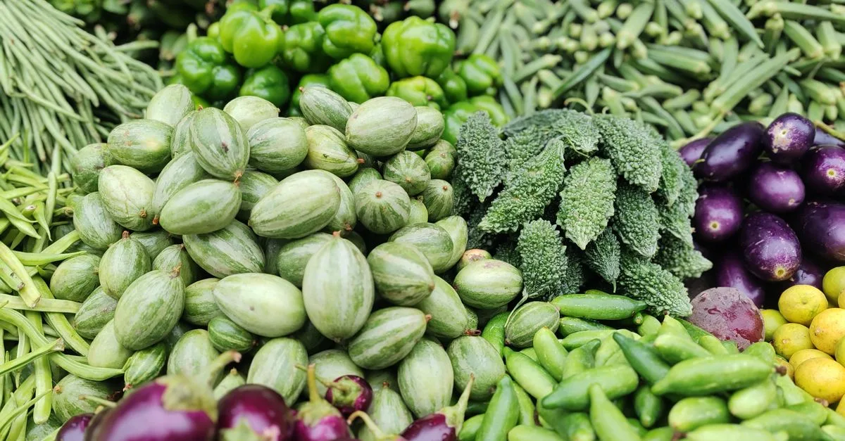 découvrez une sélection de légumes riches en fibres pour favoriser une digestion saine et améliorer votre bien-être au quotidien.
