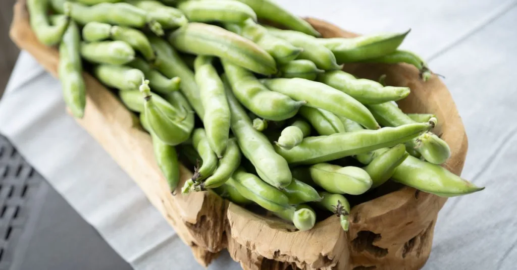 découvrez les légumes riches en fibres pour une alimentation saine et équilibrée, favorisant la digestion et le bien-être général.
