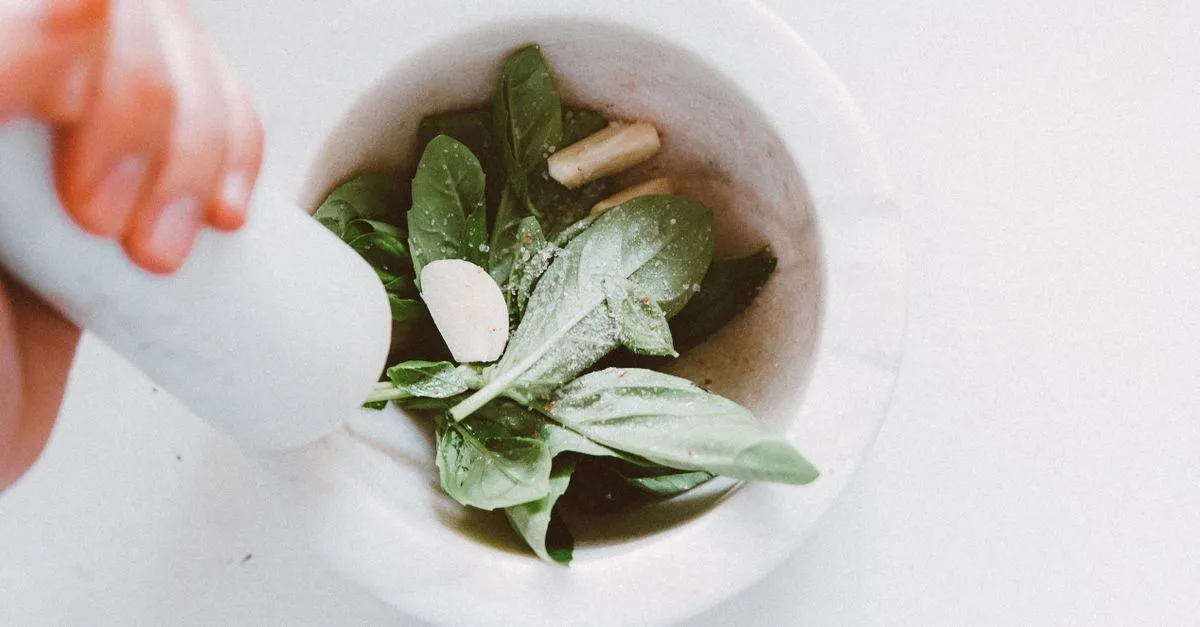 découvrez comment congeler le basilic frais pour conserver toute sa saveur et prolonger sa durée de vie, avec des astuces simples et efficaces.