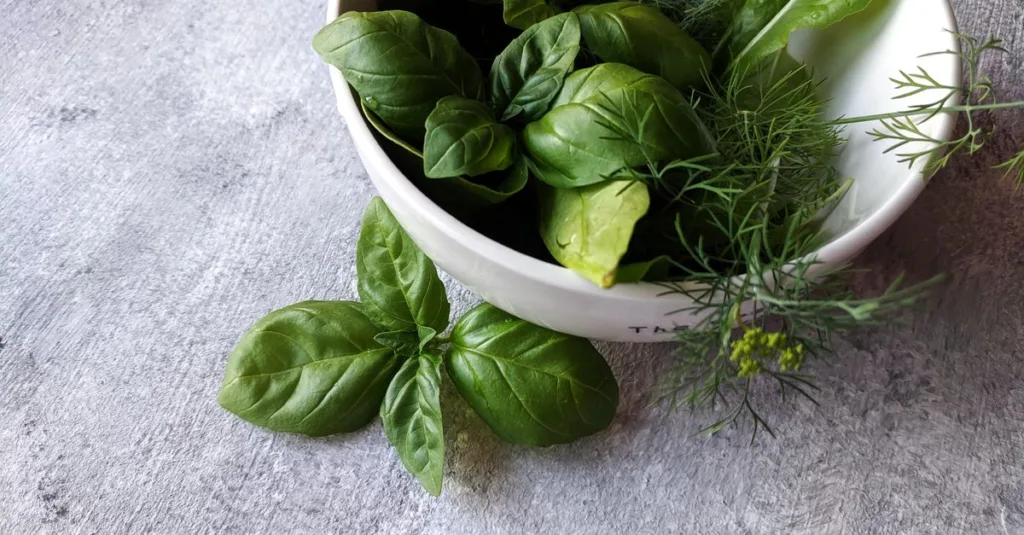 découvrez comment congeler le basilic frais pour préserver sa saveur et son arôme longtemps. astuces simples pour un basilic toujours prêt à l'emploi.