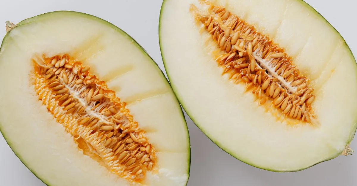 découvrez le meilleur moment pour planter des melons afin d’assurer une récolte abondante et savoureuse. conseils pratiques pour réussir la plantation de vos melons.