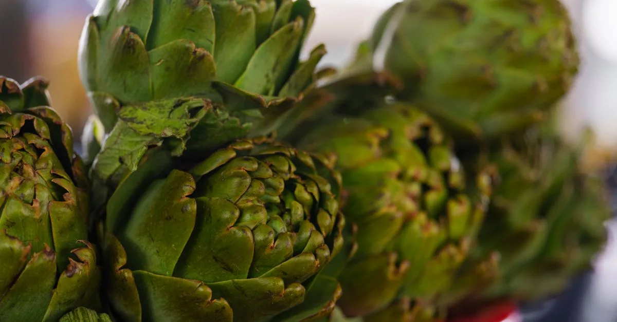 découvrez les légumes vivaces, des plantes comestibles qui reviennent année après année pour un jardin durable et productif.