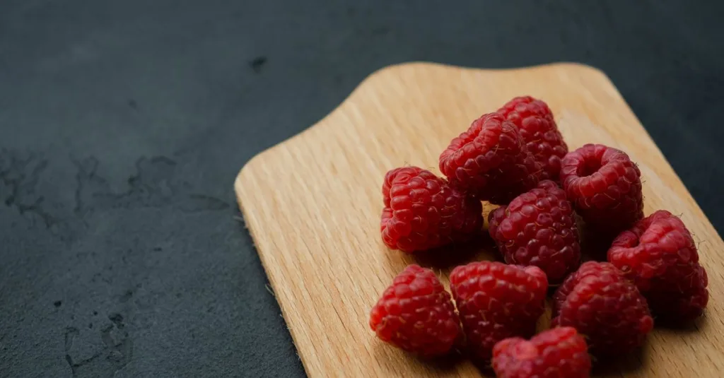 découvrez comment planter des framboisiers avec nos conseils pratiques pour un jardin productif et sain toute l'année.