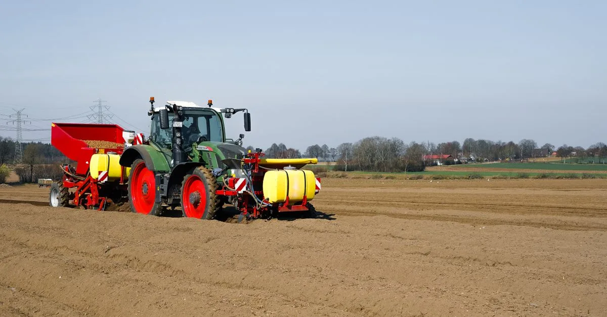 découvrez la distance idéale de plantation des pommes de terre pour optimiser la croissance et le rendement de votre culture.