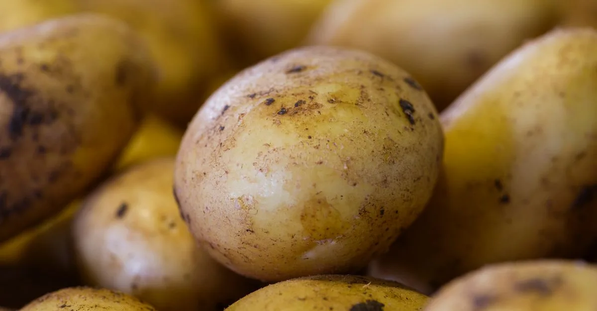 découvrez tout sur les pommes de terre : variétés, recettes savoureuses et astuces de cuisson pour sublimer ce légume incontournable.