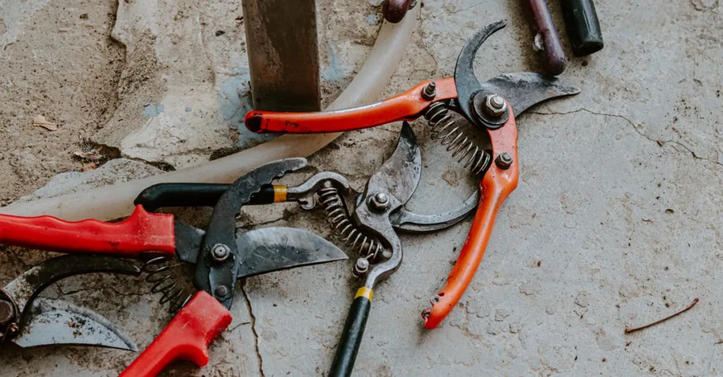 découvrez les meilleures techniques de taille pour entretenir vos arbres et arbustes, favoriser leur croissance et améliorer leur santé.