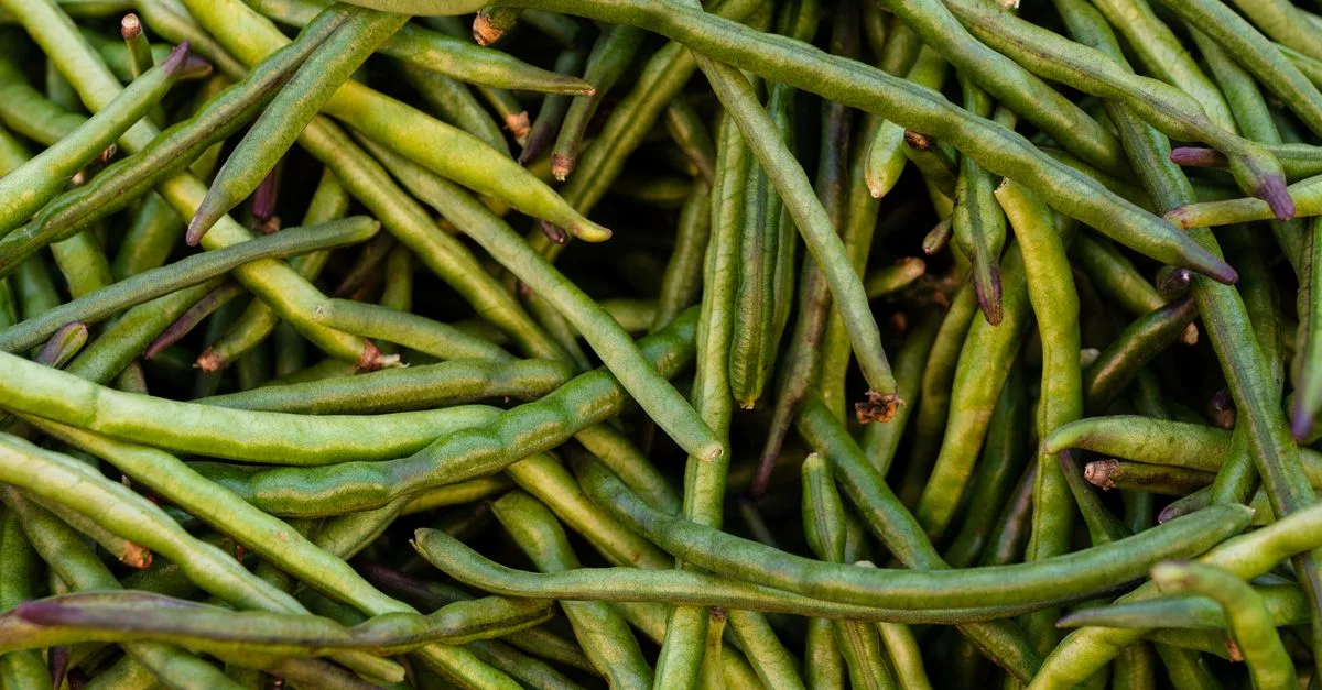 vos haricots verts fleurissent sans produire de gousses ? découvrez les causes possibles et les solutions pour favoriser la formation des gousses.