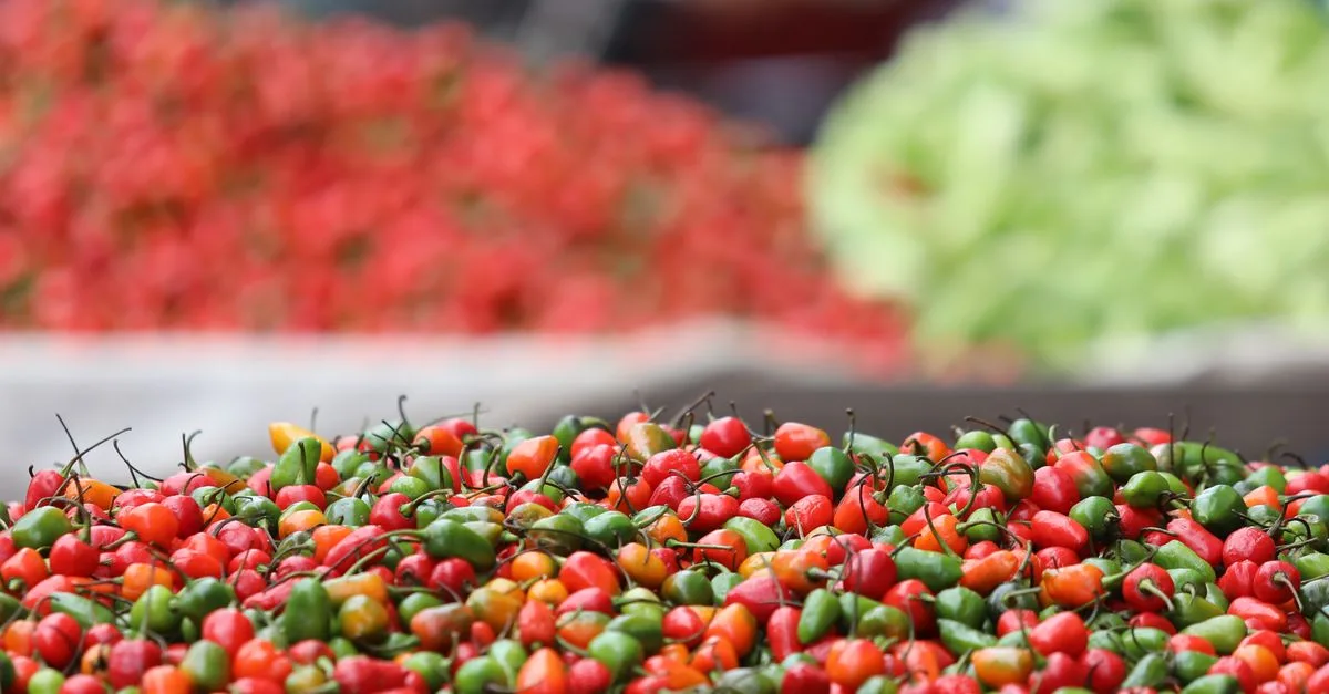 découvrez les petits poivrons, leurs variétés, leurs saveurs et des idées simples pour les cuisiner au quotidien.