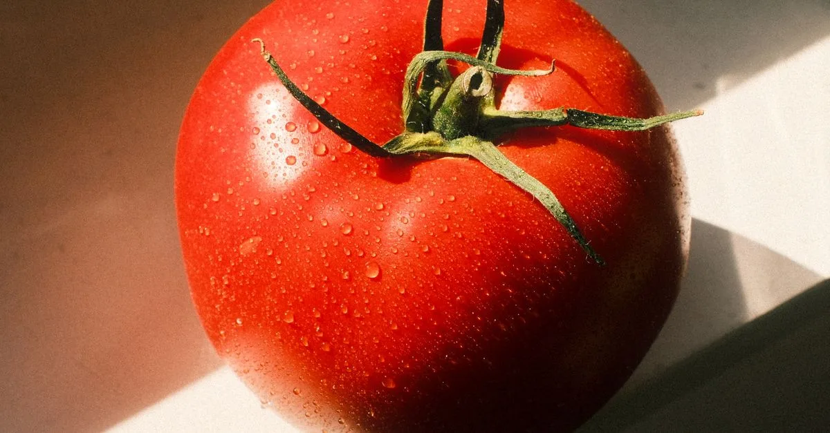découvrez les causes de la chute des fleurs de tomate et les solutions pour favoriser la pollinisation et obtenir une récolte abondante.